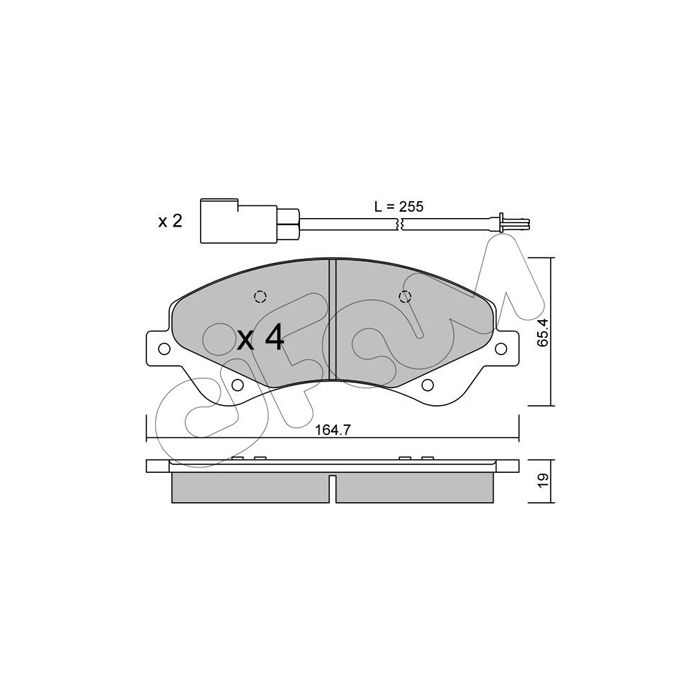 main product photo