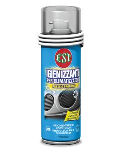 Est 0952 - Igienizzante Climatizzatori - 200ml
