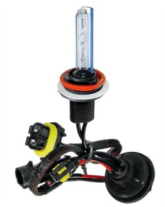 PILOT - 12/24V Lampadina HID Xenon 6.000K - H11 - 1 pz  - Scatola