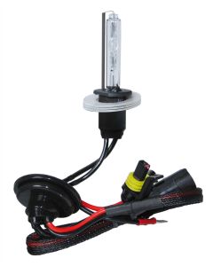 PILOT - 12/24V Lampadina HID Xenon 6.000K - H1 - 1 pz  - Scatola