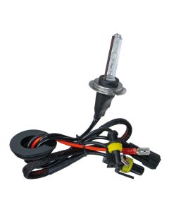 PILOT - 12/24V Lampadina HID Xenon 4.300K - H7 - 1 pz  - Scatola