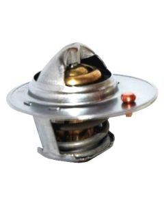HOFFER 8192791 - Termostato, Refrigerante