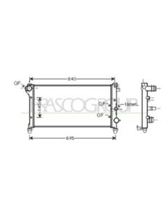 PRASCO FT122R002 - Radiatore, Raffreddamento motore