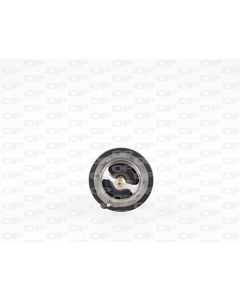 OPEN PARTS TRM111000 - Termostato, Refrigerante