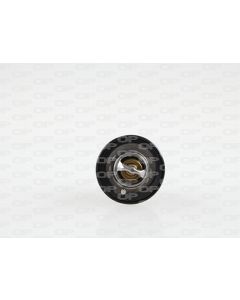 OPEN PARTS TRM115000 - Termostato, Refrigerante