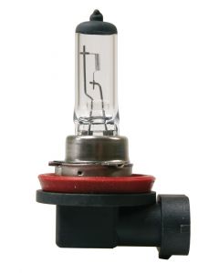 LAMPA - 12V Lampada alogena - H11 - 55W - PGJ19-2 - 1 pz  - D/Blister