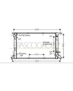 PRASCO AD024R009 - Radiatore, Raffreddamento motore