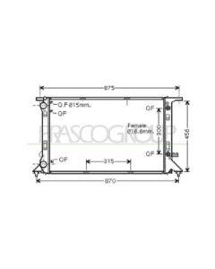 PRASCO AD024R010 - Radiatore, Raffreddamento motore