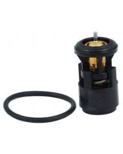 HOFFER 8192479 - Termostato, Refrigerante