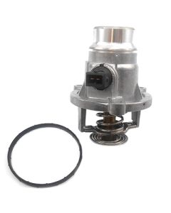 HOFFER 8192762 - Termostato, Refrigerante
