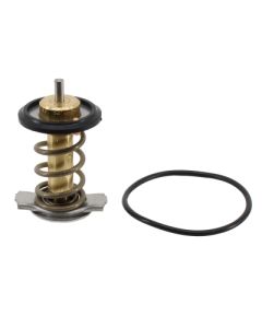 HOFFER 8192957 - Termostato, Refrigerante