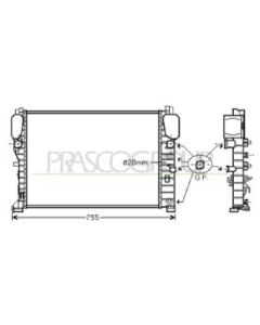 PRASCO ME039R004 - Radiatore, Raffreddamento motore