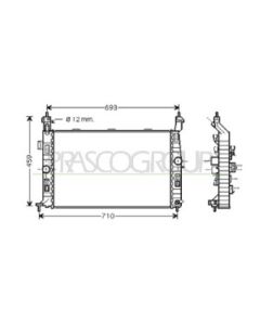 PRASCO OP350R001 - Radiatore, Raffreddamento motore